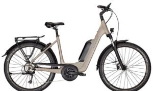 velo-de-randonnee-electrique-kalkhoff-entice-1-move-545-wh-gris