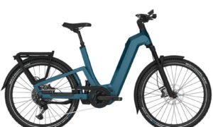 velo-electrique-kalkhoff-entice-7-advance-bleu-cadre-wave