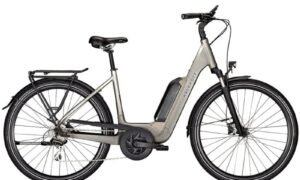 vtc-electrique-kalkhoff-endeavour-1-move-545-wh-gris-fonce-cadre-wave