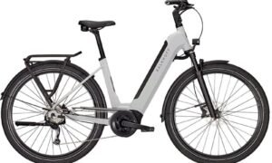 vtc-electrique-kalkhoff-endeavour-5b-move-gris-clair-cadre-wave