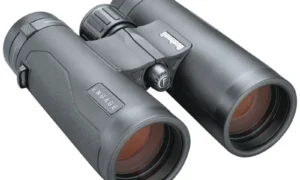 Bushnell Engage EDX 8x42