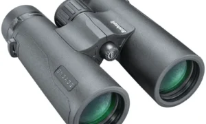 Bushnell Engage X 10x42